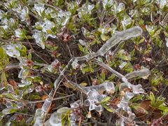 -江南天池高山汤泉城
