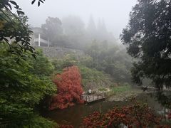-莫干山风景区