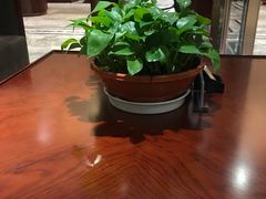 -亚欧大酒店(西关中山桥店)