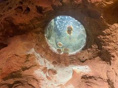 -珠海长隆海洋王国
