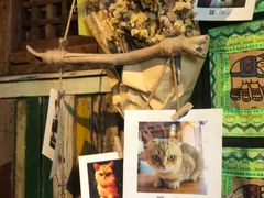 -壹六猫窝(谷德店)