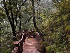 -塔云山