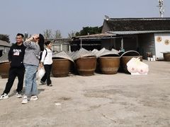 -苏州市吴中区光福窑上花果蜜饯厂