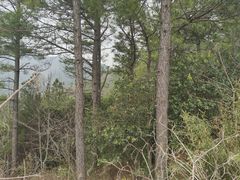 -缥缈峰景区