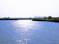 -盐城丹顶鹤湿地生态旅游区