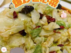 爆炒卷心菜-春水锅贴·传统鲁菜(大明湖店)