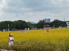 -光明小镇欢乐田园