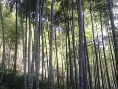 -众神白水涧景区