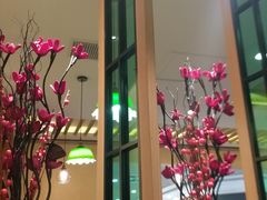 -小杨生煎(南汇欧尚店)
