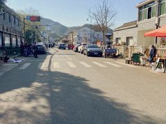 -新建村梅花