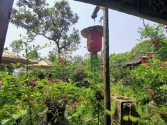 -青城甲(青城山店)