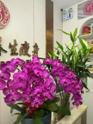 -金美秀瘦身养生