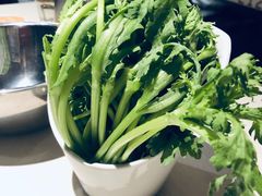 -浩爷羊蝎子火锅(望京店)