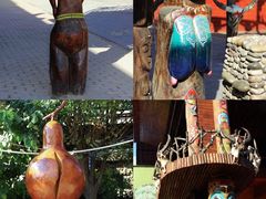 -呀路古热带植物园