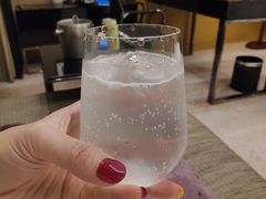 -无锡新湖铂尔曼大酒店