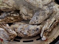 -港畔赶海蒸汽海鲜烧烤自助(仙螺岛店)