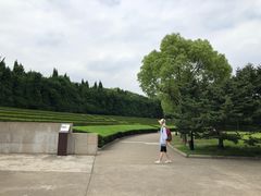 -上海市龙华烈士陵园