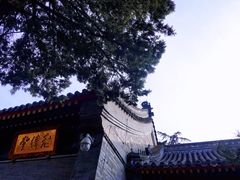 -白云观