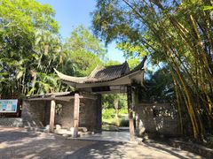 -广西壮族自治区药用植物园