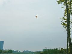 -春花秋色城市公园