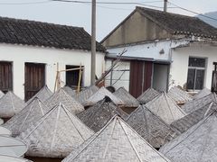 -苏州市吴中区光福窑上花果蜜饯厂