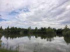 -泗洪洪泽湖湿地景区