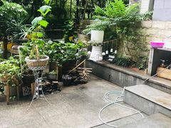 -素清香(解放路店)