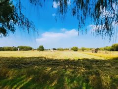 -长兴太湖图影湿地文化园