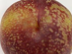 -星巴克(钦江路店)