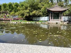 -莲湖公园