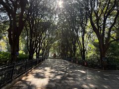 -柳侯公园