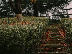 -诺贝尔湖公园