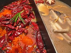 -大龙燚·旷野鲜火锅(广州首店)