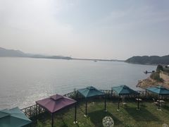 -望湖烤鱼