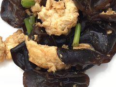 -龙达温泉生态城