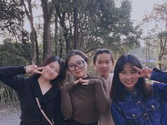 -铁山坪森林公园