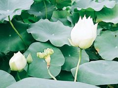 -龙环葡韵住宅式博物馆