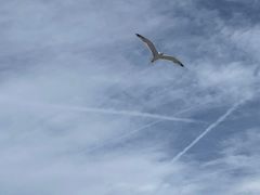 -小巴塞罗那海滩