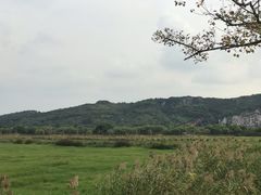 -长兴太湖图影湿地文化园