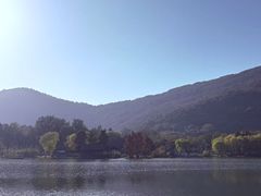 -长广溪湿地公园