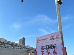 -桃花堤公园