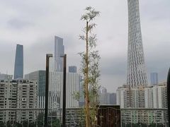 -小茶闲舍·观景商务茶馆(广州塔店)