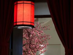 -東大方(安吉灵芝店)