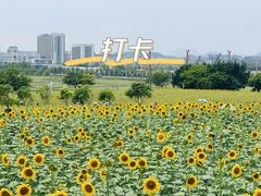 -光明小镇欢乐田园