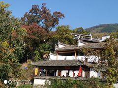 -塔川景区