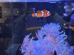 -Rabbit Cafe私房西餐甜点咖啡(栖霞路店)