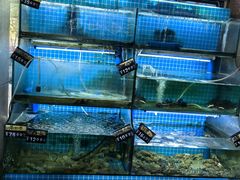 -老东镇啤酒屋海鲜加工·蒸汽海鲜·海鲜烧烤(台东店)