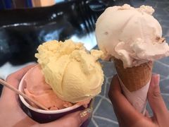 -Dooley's Premium Ice Cream
