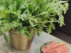 -蘑界·野生菌火锅(深业上城店)