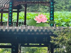 -龙头寺公园